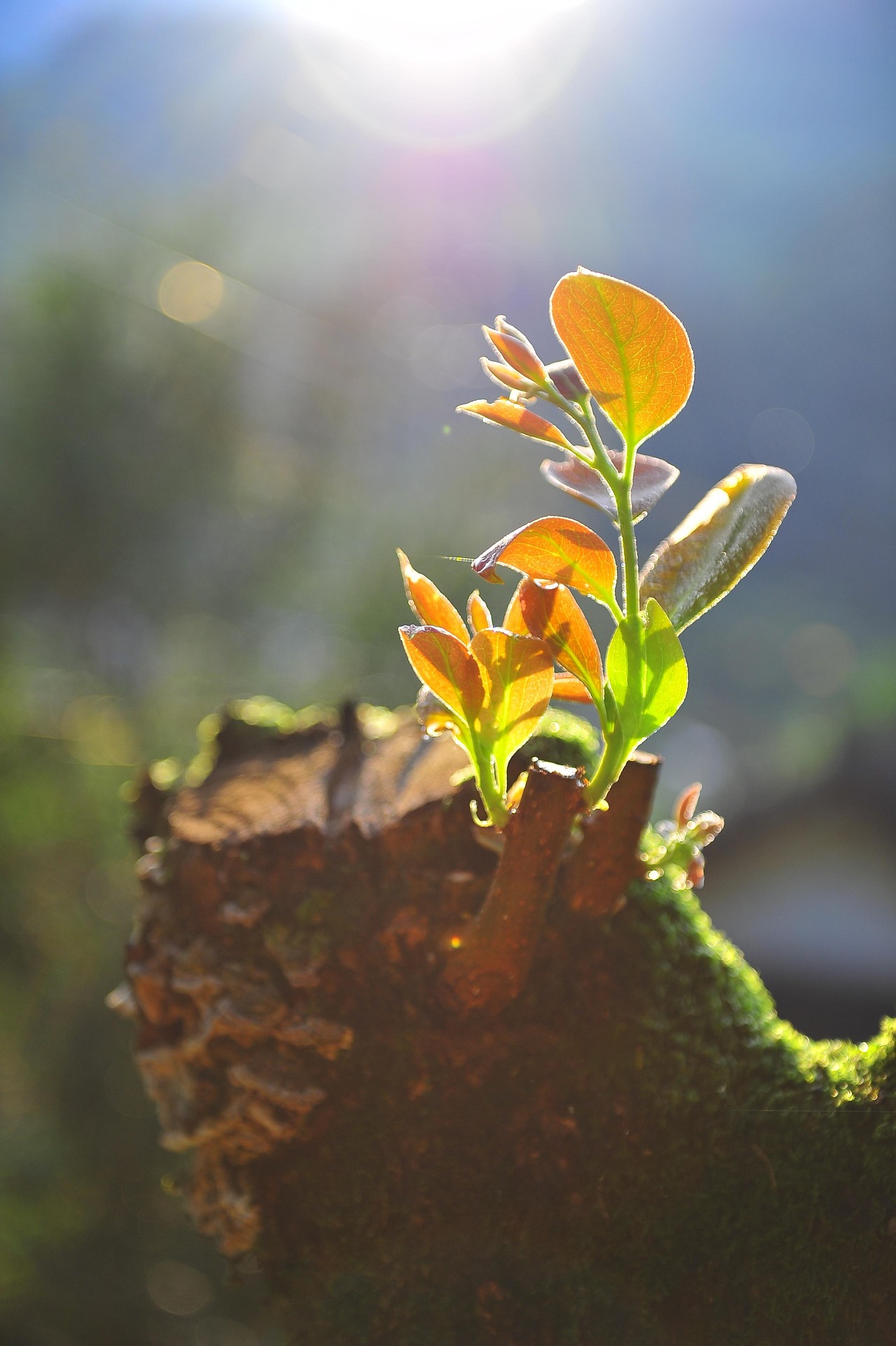 Four Steps for Spiritual Restoration